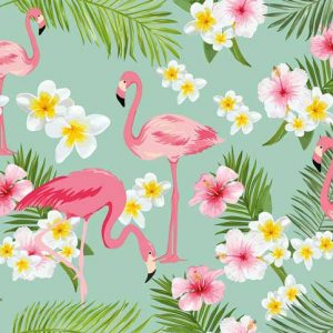 Flamingos